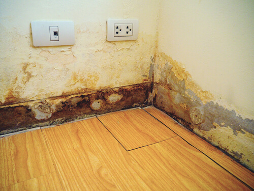 How to Prevent Slab Leaks from Damaging Your Home